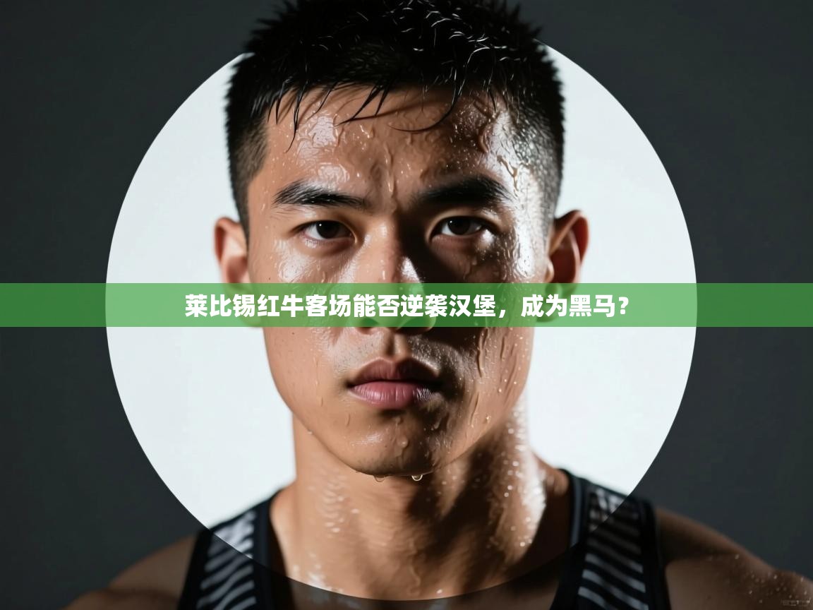 莱比锡红牛客场能否逆袭汉堡,成为黑马? 第2张