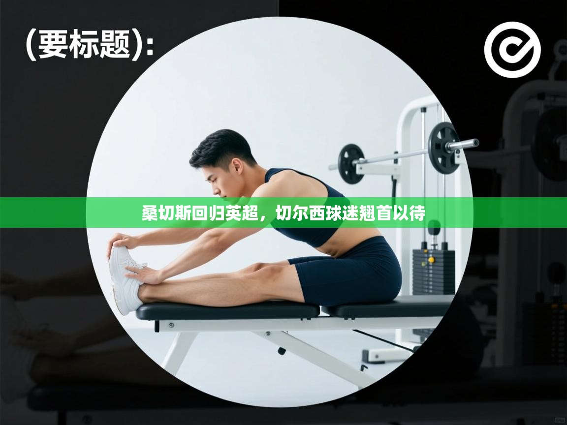 桑切斯回归英超，切尔西球迷翘首以待  第1张