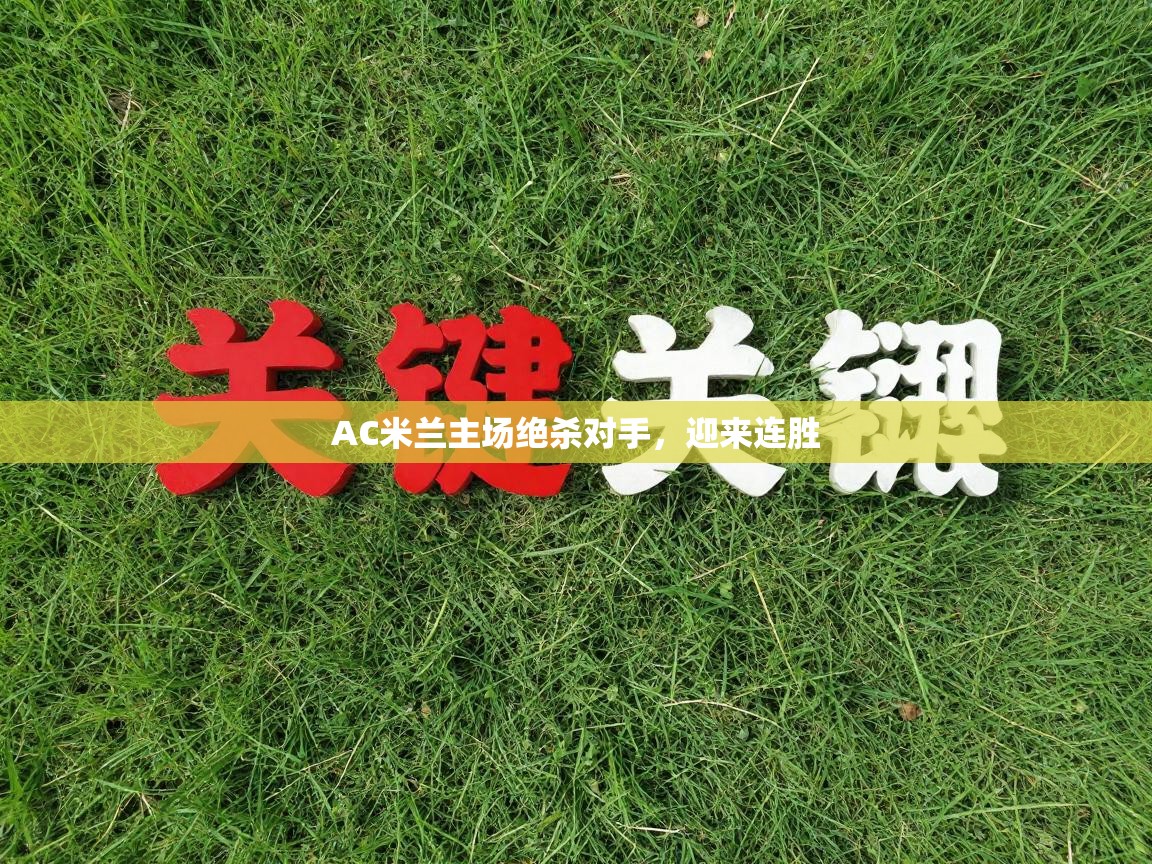 AC米兰主场绝杀对手，迎来连胜  第2张