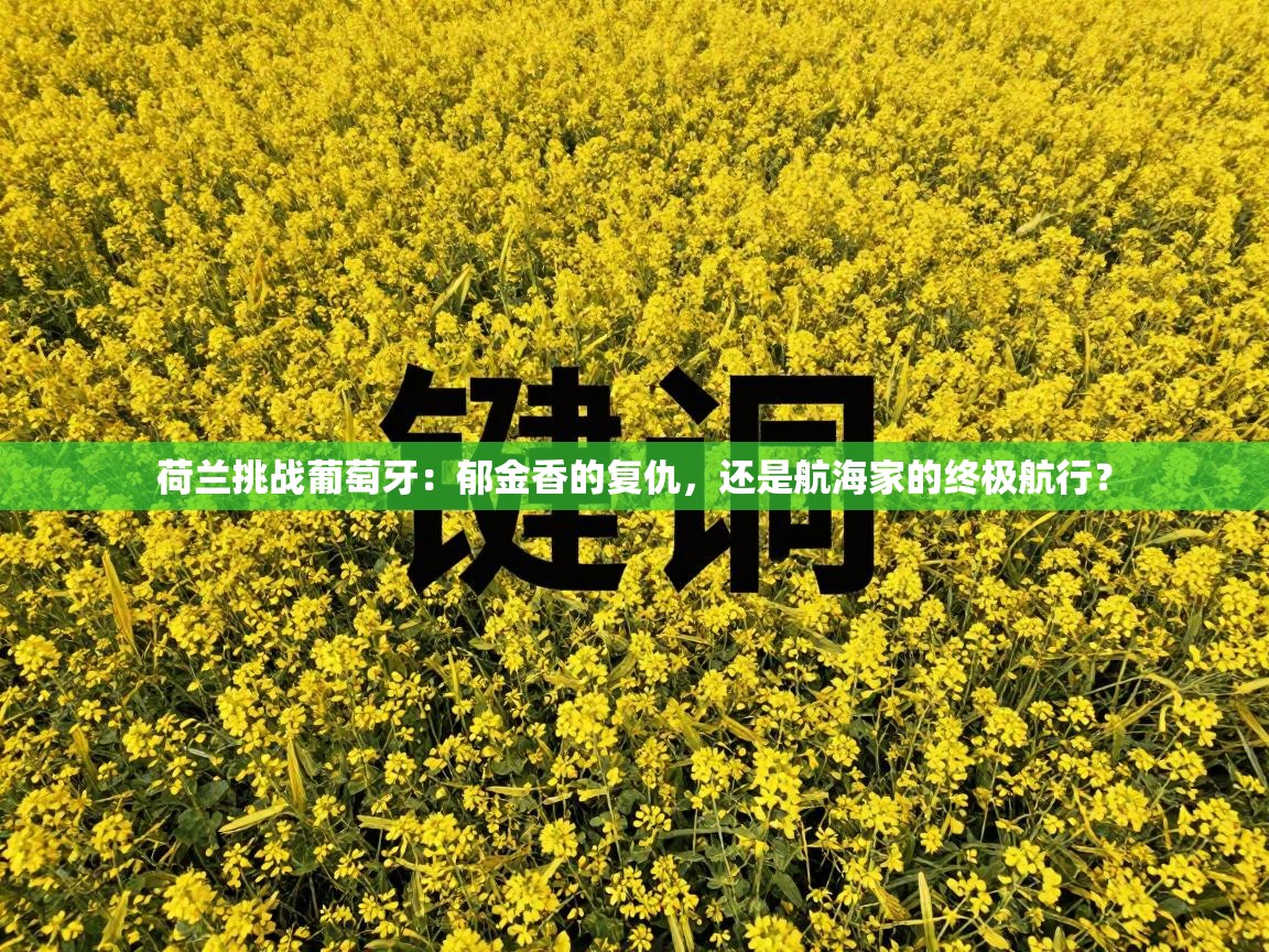 荷兰挑战葡萄牙：郁金香的复仇，还是航海家的终极航行？  第2张