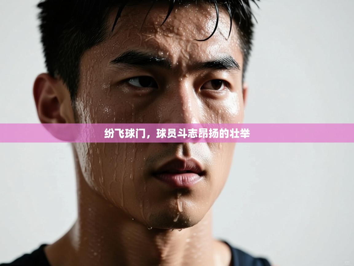 纷飞球门,球员斗志昂扬的壮举 第1张