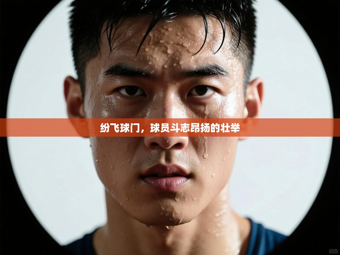 纷飞球门,球员斗志昂扬的壮举 第2张