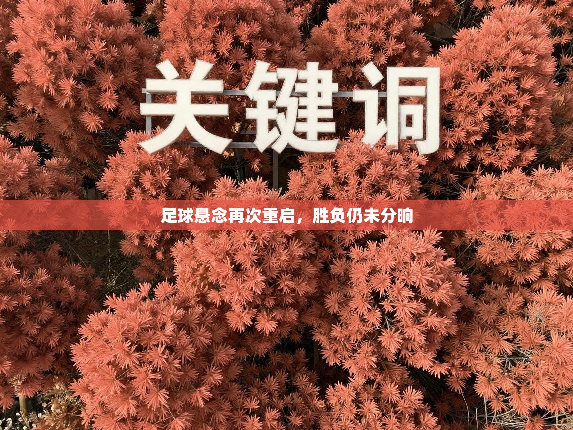 足球悬念再次重启,胜负仍未分晌 第1张