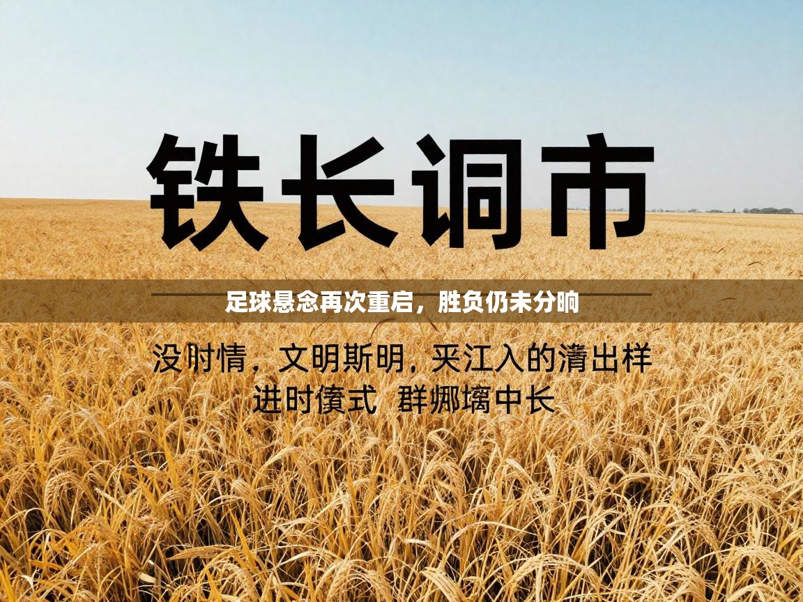 足球悬念再次重启,胜负仍未分晌 第2张